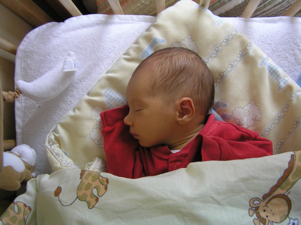 Vytvoeno: 30. ledna 2009 14:23:06 