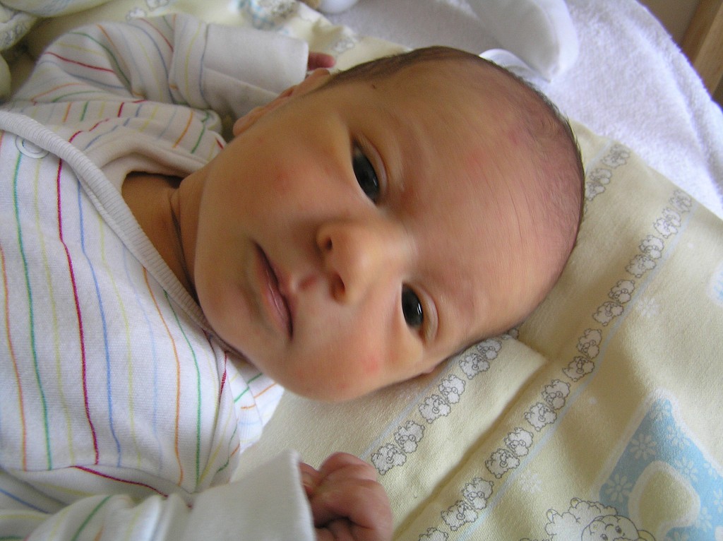 Vytvoeno: 25. ledna 2009 9:36:48 