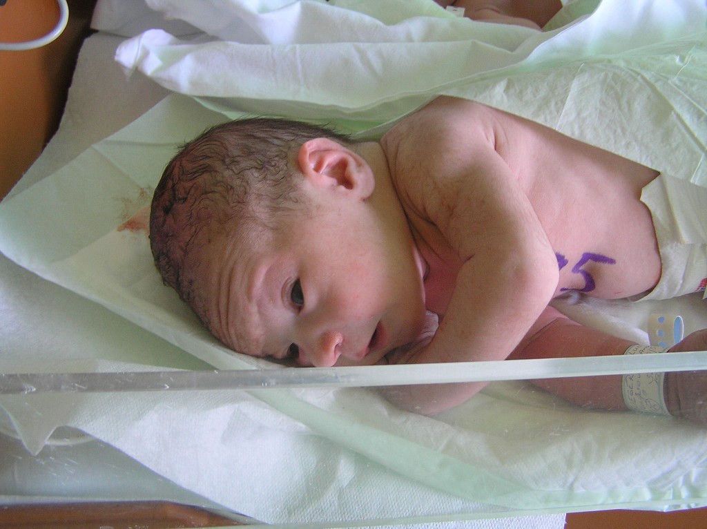 Vytvoeno: 19. ledna 2009 11:58:26 